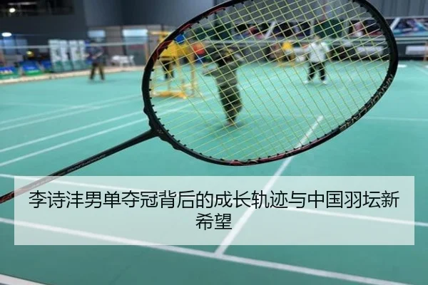 李诗沣男单夺冠背后的成长轨迹与中国羽坛新希望