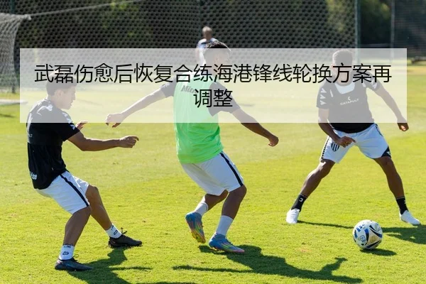 武磊伤愈后恢复合练海港锋线轮换方案再调整
