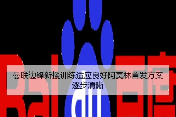 曼联边锋新援训练适应良好阿莫林首发方案逐步清晰