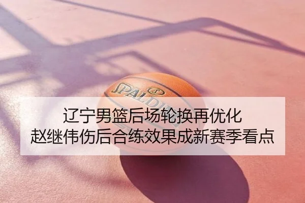 辽宁男篮后场轮换再优化 赵继伟伤后合练效果成新赛季看点